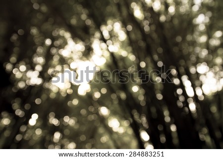 Bokeh background from tree abstract background,Sepia tone