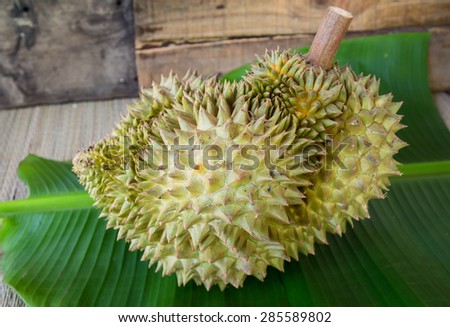 Durian  king of fruit, fruit in Thailand