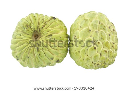 Pair of green ripe custard apple sweet fruit isolated on white background.