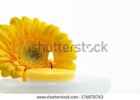 yellow flower and candle isolated