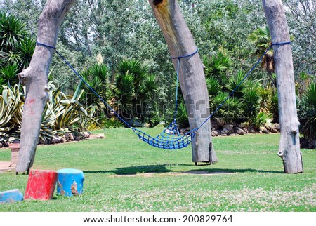 Spectacular tree trunks to use swing