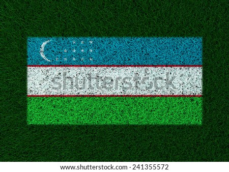 flag of Uzbekistan texture grass