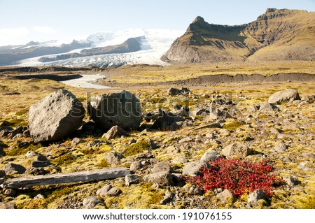Isolated nature - Iceland