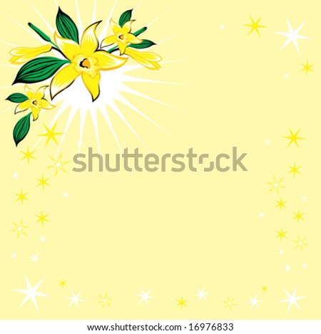 Vanilla Flower Picture on Background With Stars And Vanilla Flower Stock Vector 16976833