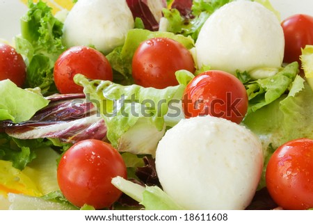 Plate of italian food with mozzarella, tomatoes and salad