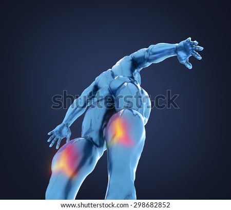 pain in the lower leg