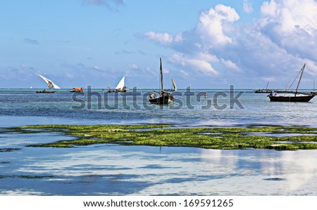 Indian ocean view, Nungwi Beach, Zanzibar, Tanzania, Africa