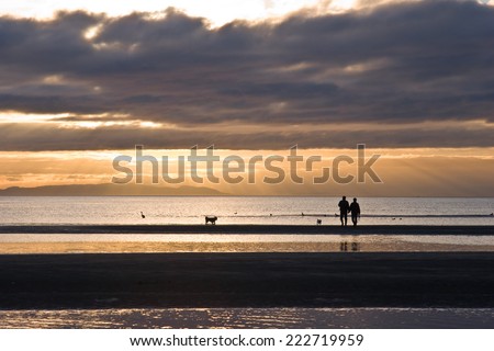 Couple with dogs in silhouette walking on the beach as light rays beam down from the setting sun. White Rock BC, Canada