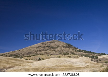 View of Steptoe Butte with deep blue sky, Palouse Valley, eastern Washington State