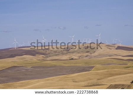 Many wind turbines along top of ridge, Palouse Valley, eastern Washington State