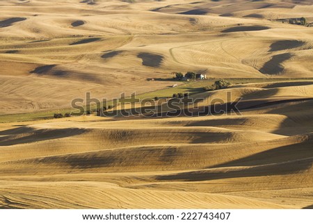 Late summer light and patterns of Palouse Country in eastern Washington bisected by a country road, as seen from Kamiak Butte
