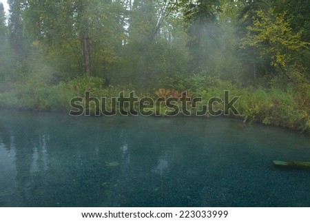Steam rises from natural hot springs pool at Liard Hot Springs, British Columbia, Canada