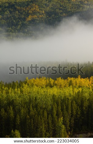 Fog rising up the tree covered valley with fall colors, near Liard Hot Springs, British Columbia, Canada