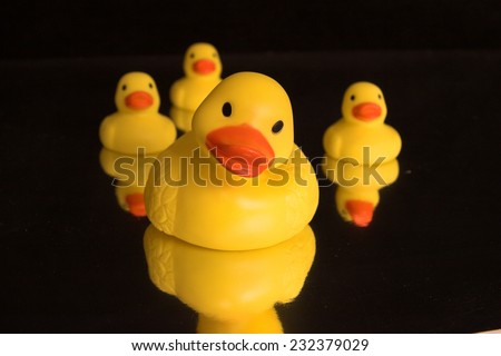Family of rubber ducks reflected in water - black background