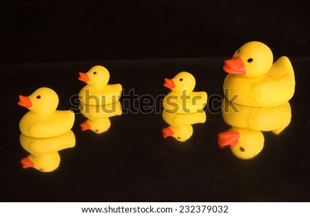 Family of rubber duck reflected in water with mother bringing up the rear - black background