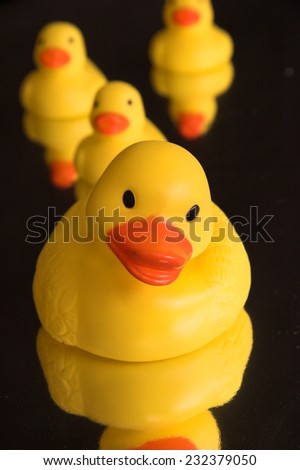 Family of rubber ducks with mother in front reflected in water - black background