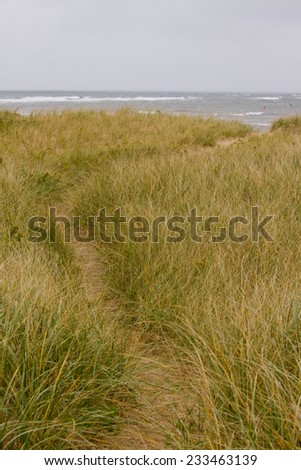 Walking path leading through the tall grass to the sea, Prince Edward Island National Park, on the north shore of Prince Edward Island, Canada
