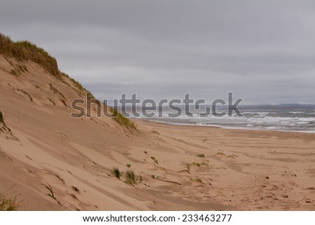 Sand Dunes leading down to the ocean, Prince Edward Island National Park, on the north shore of Prince Edward Island, Canada