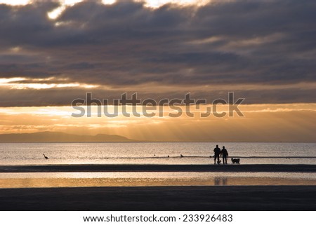 Couple with dogs in silhouette walking on the beach as light rays beam down from the setting sun. White Rock BC, Canada. A heron is also seen in the water.