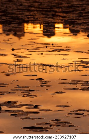Silhouette of Burnaby skyline at sunset reflected in Burnaby Lake, British Columbia, Canada