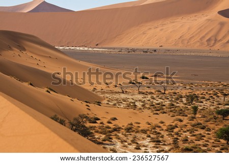 sand dunes moving into salt pan, Namib Desert, Sossusvlei, Namibia