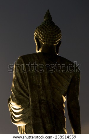Back of enormous Buddha statue under the moonlight