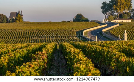 Route des Chateaux, Vineyard in Medoc, amous wine estate of Bordeaux wine, France
