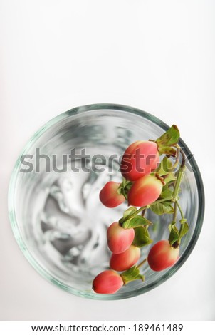 empty glass with branch with red fruits in it, upper view