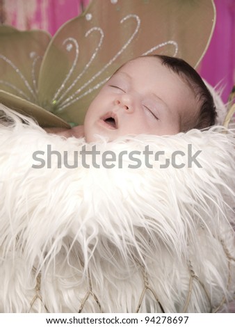 Beautiful one week old newborn sleeping with wings in a fur lines garden basket a beautiful Irish Fairy Princess.