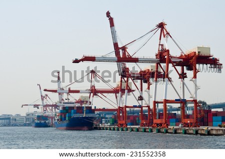 Gantry cranes on the port