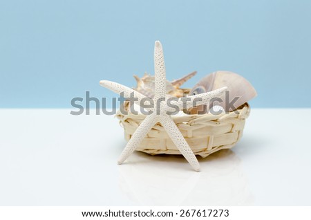 Starfish with a basket of seashells