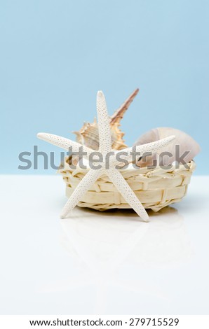 Starfish with a basket of shellfishes