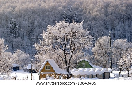 The Winter morning. The Small lodge and big tree in snowdrift.