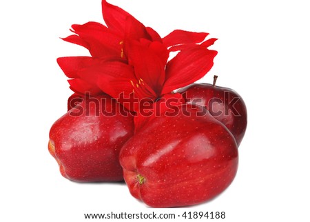 Some fresh big red apples isolated on the white background with Christmas flower.