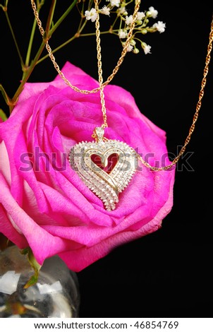 Gold  heart diamand pendant on the pink rose with gold chain isolated on the black.