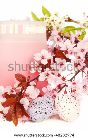 cherry blossom flower. stock photo : Cherry blossom