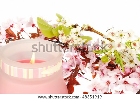 Cherry blossom flowers   with pink fearing  candle isolated on the white.