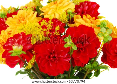 Bouquet of Dahlia flowers isolated on white background