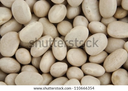 Close up of dry white oval navy beans.
