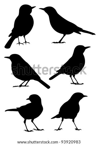 Birds Silhouette 6 different vector illustrations Birds Silhouette 6 different vector illustrations