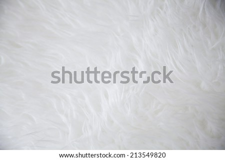 white sheepskin rug texture