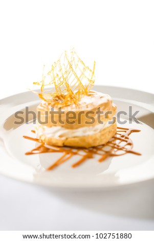 Delicious creamy dessert with caramel topping on isolated background