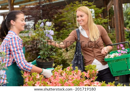 Garden center worker selling potted flower to customer buying plants