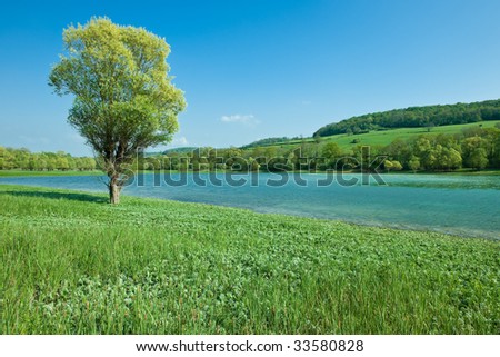 Mountain lake with on isolated tree in front of green meadows
