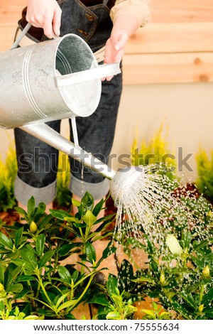 Gardening woman watering can plant spring terrace