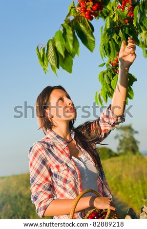 Young woman reaching high cherry branch tree summer blue sky