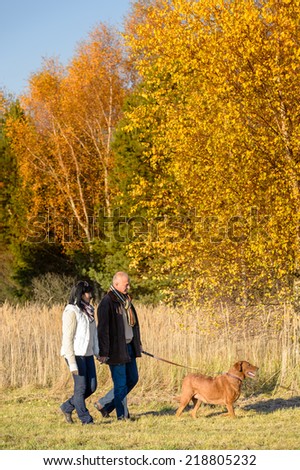 Middle aged couple walking retriever dog in sunny autumn countryside
