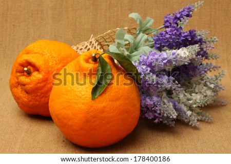 Large ugly fruit on a linen background