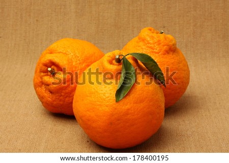 Large ugly fruit on a linen background