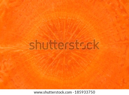 carrot isolated on white